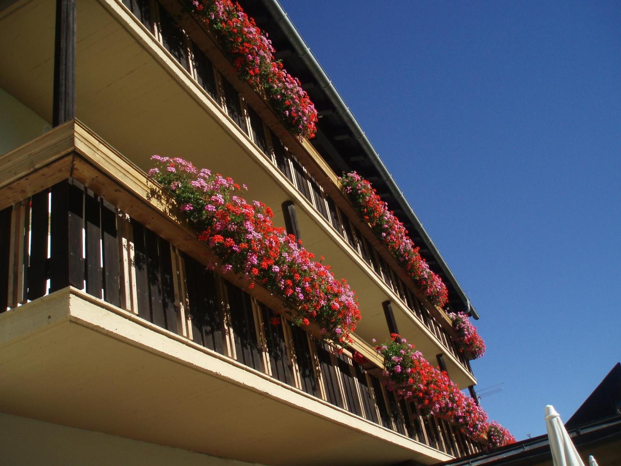 Laerchenhof Hotel Sankt Jakob in Defereggen Bagian luar foto